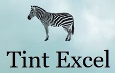 tint_excel_sm